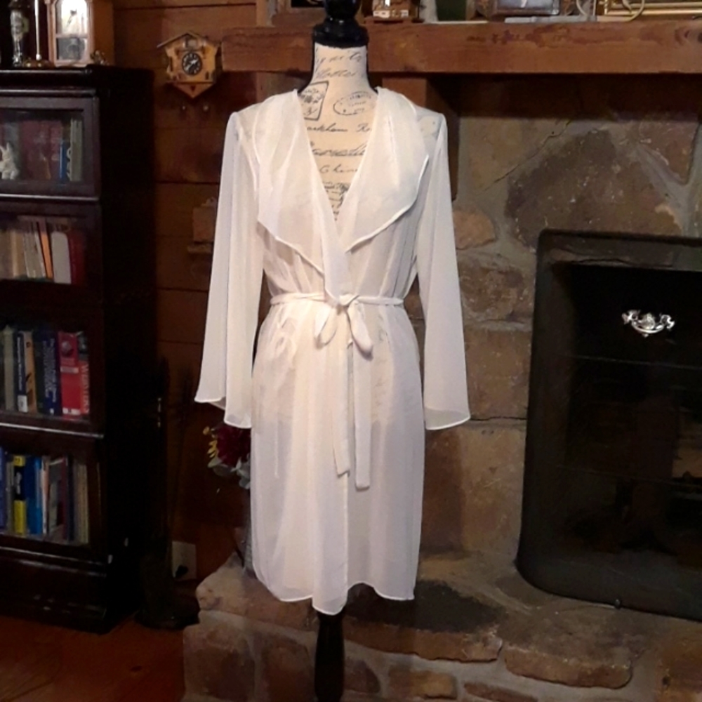 Oscar de la Renta sheer robe